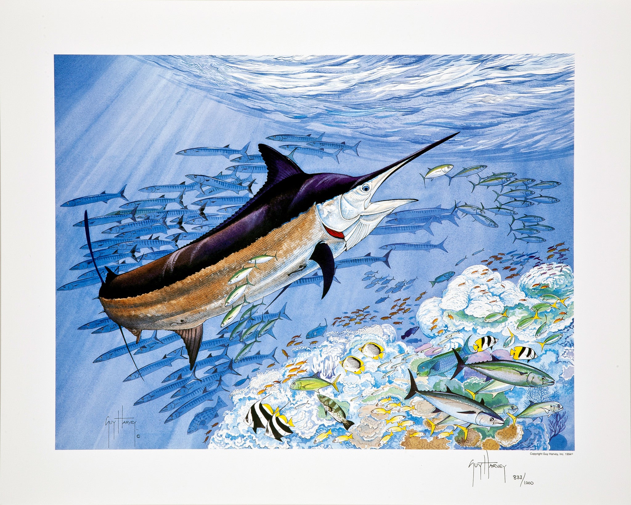 Two-Piece Guy Harvey Collection – The Billfish Foundation